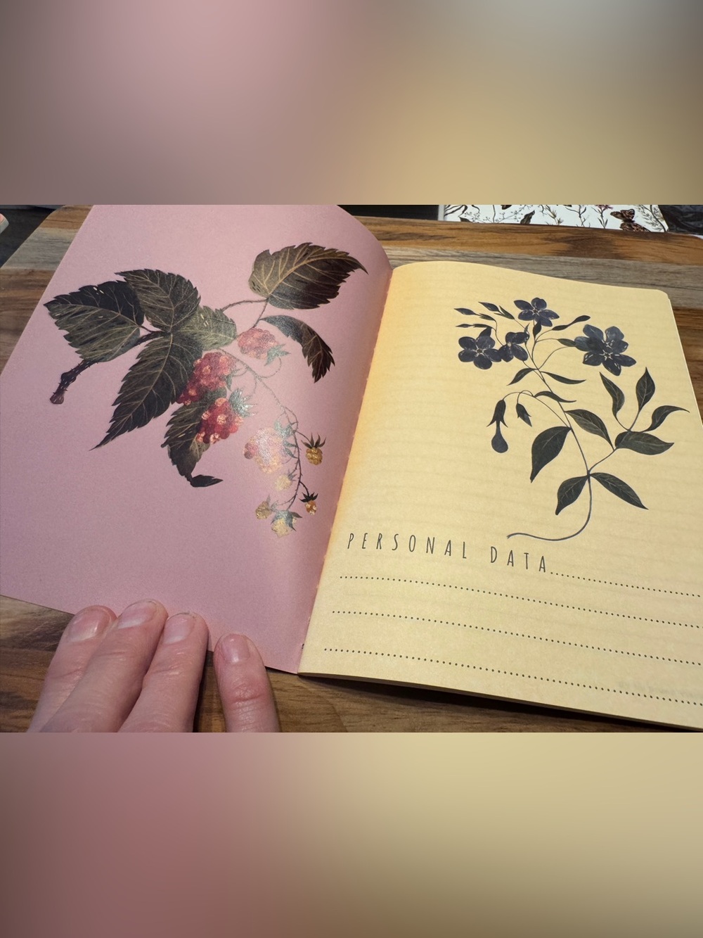 Set of 3 Gorgeous Gold Foil Detailed Soft Touch Notebook Journals- lovely gift! - Picture 10 of 10